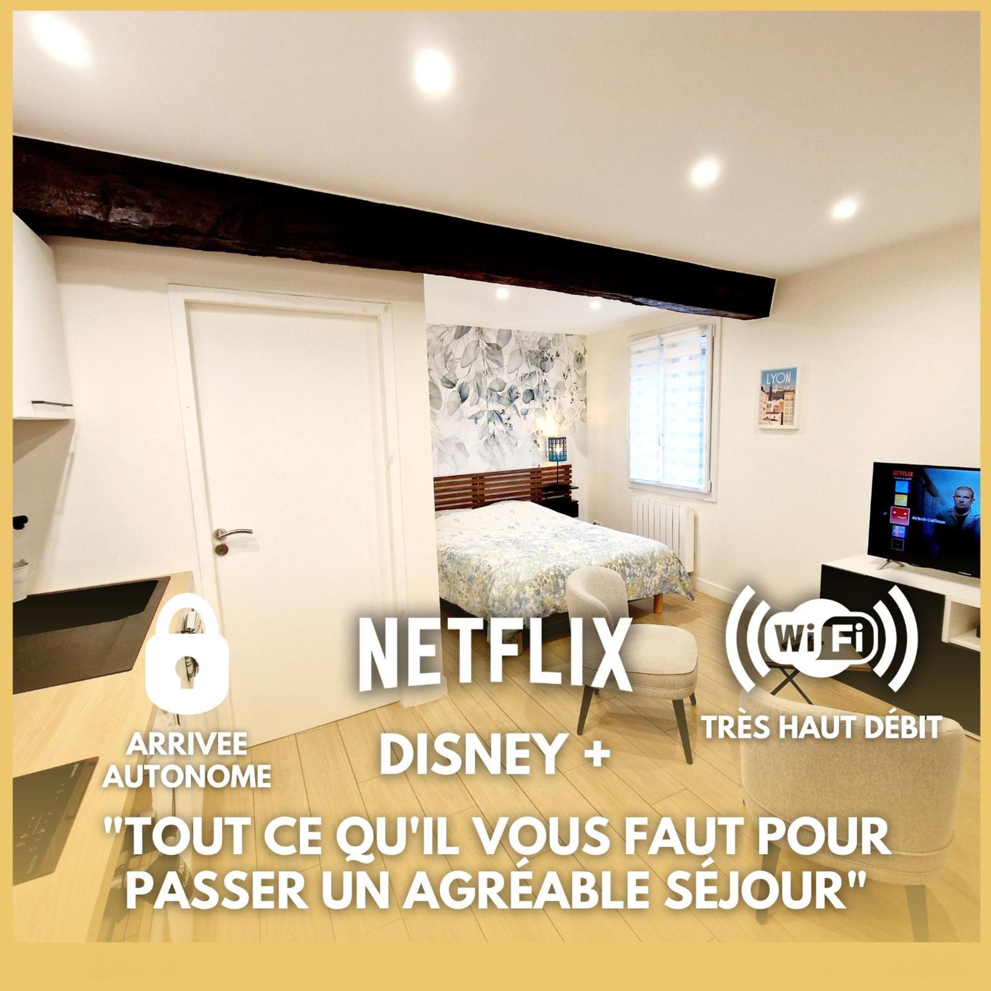 Studio Entierement Equipe Cailloux-sur-Fontaines Exterior foto